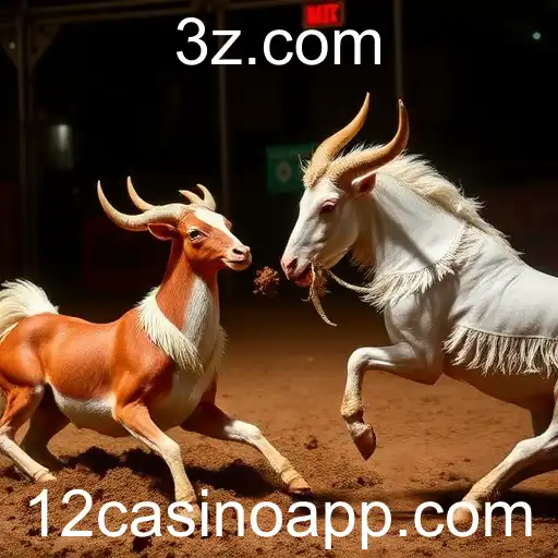 VIP Service 12casino - 24/7 Support and Exclusive Benefits